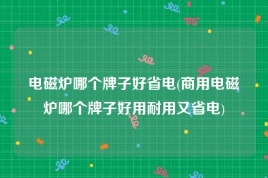 电磁炉哪个牌子好省电(商用电磁炉哪个牌子好用耐用又省电)