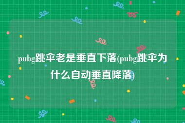 pubg跳伞老是垂直下落(pubg跳伞为什么自动垂直降落)