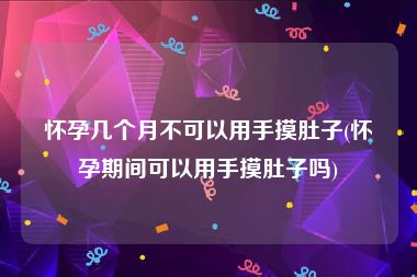 怀孕几个月不可以用手摸肚子(怀孕期间可以用手摸肚子吗)