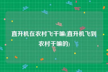 直升机在农村飞干嘛(直升机飞到农村干嘛的)