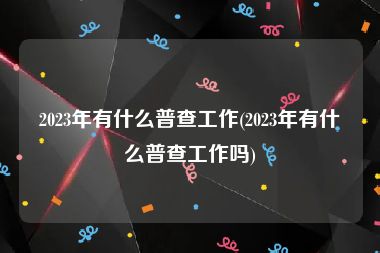 2023年有什么普查工作(2023年有什么普查工作吗)