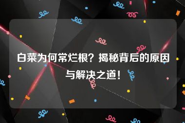 白菜为何常烂根？揭秘背后的原因与解决之道！