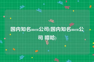 国内知名mcn公司(国内知名mcn公司 嘻哈)