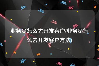 业务员怎么去开发客户(业务员怎么去开发客户方法)