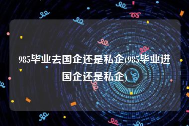 985毕业去国企还是私企(985毕业进国企还是私企)