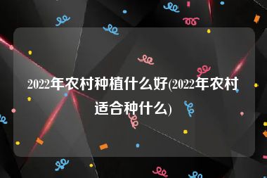 2022年农村种植什么好(2022年农村适合种什么)