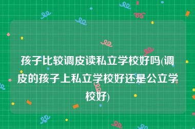 孩子比较调皮读私立学校好吗(调皮的孩子上私立学校好还是公立学校好)