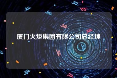 厦门火炬集团有限公司总经理