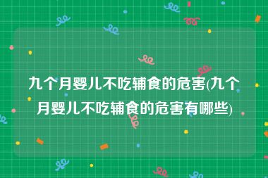 九个月婴儿不吃辅食的危害(九个月婴儿不吃辅食的危害有哪些)