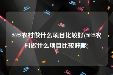 2022农村做什么项目比较好(2022农村做什么项目比较好呢)