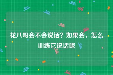 花八哥会不会说话？如果会，怎么训练它说话呢