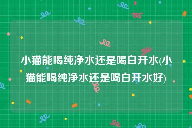 小猫能喝纯净水还是喝白开水(小猫能喝纯净水还是喝白开水好)