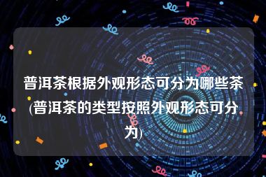 普洱茶根据外观形态可分为哪些茶(普洱茶的类型按照外观形态可分为)