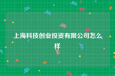 上海科技创业投资有限公司怎么样