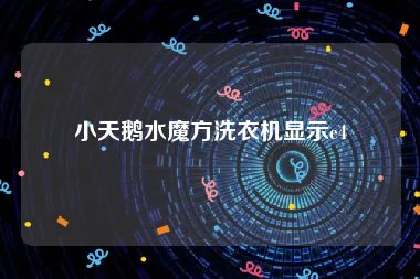 小天鹅水魔方洗衣机显示e4