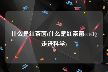 什么是红茶菌(什么是红茶菌cctv10走进科学)