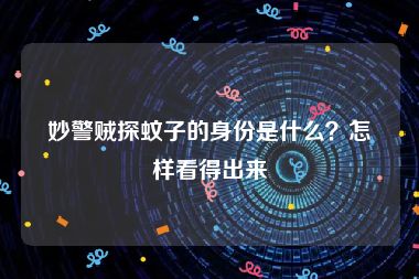 妙警贼探蚊子的身份是什么？怎样看得出来