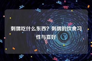 刺猬吃什么东西？刺猬的饮食习性与喜好