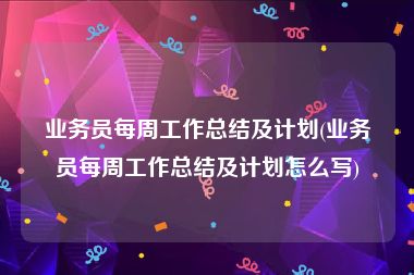 业务员每周工作总结及计划(业务员每周工作总结及计划怎么写)