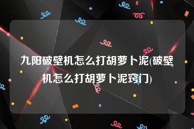 九阳破壁机怎么打胡萝卜泥(破壁机怎么打胡萝卜泥窍门)