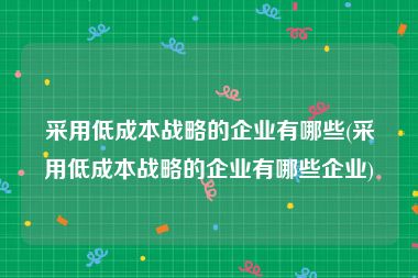 采用低成本战略的企业有哪些(采用低成本战略的企业有哪些企业)