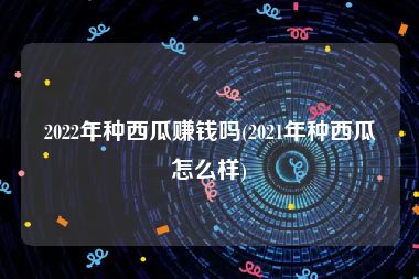 2022年种西瓜赚钱吗(2021年种西瓜怎么样)