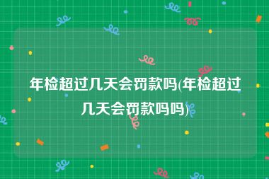 年检超过几天会罚款吗(年检超过几天会罚款吗吗)