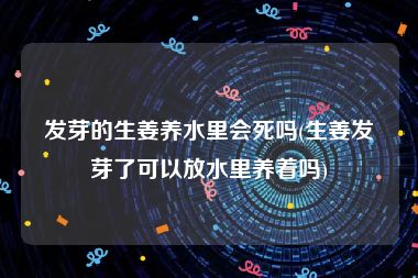 发芽的生姜养水里会死吗(生姜发芽了可以放水里养着吗)