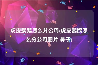 虎皮鹦鹉怎么分公母(虎皮鹦鹉怎么分公母图片 鼻子)