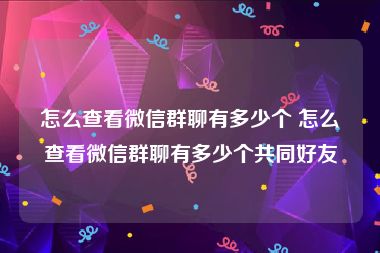 怎么查看微信群聊有多少个 怎么查看微信群聊有多少个共同好友