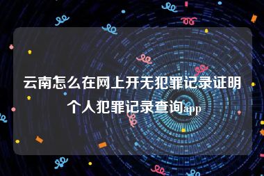 云南怎么在网上开无犯罪记录证明 个人犯罪记录查询app