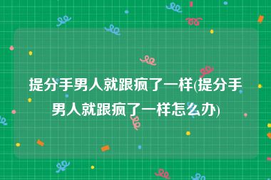 提分手男人就跟疯了一样(提分手男人就跟疯了一样怎么办)