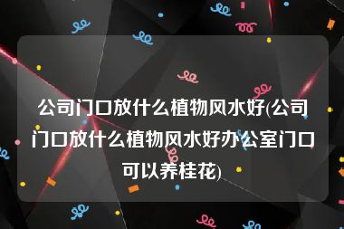 公司门口放什么植物风水好(公司门口放什么植物风水好办公室门口可以养桂花)