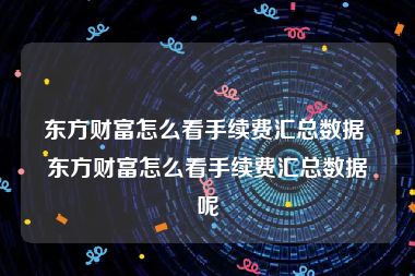 东方财富怎么看手续费汇总数据 东方财富怎么看手续费汇总数据呢