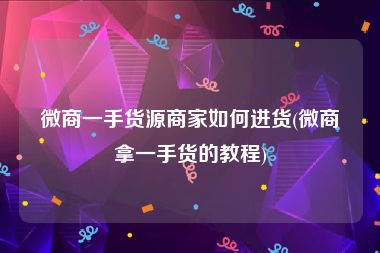 微商一手货源商家如何进货(微商拿一手货的教程)