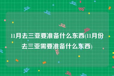 11月去三亚要准备什么东西(11月份去三亚需要准备什么东西)