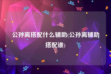 公孙离搭配什么辅助(公孙离辅助搭配谁)