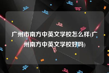 广州市南方中英文学校怎么样(广州南方中英文学校好吗)