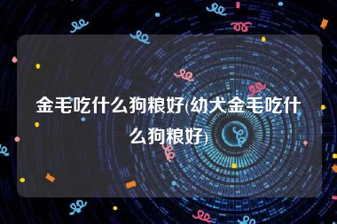 金毛吃什么狗粮好(幼犬金毛吃什么狗粮好)