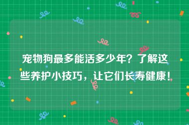 宠物狗最多能活多少年？了解这些养护小技巧，让它们长寿健康！