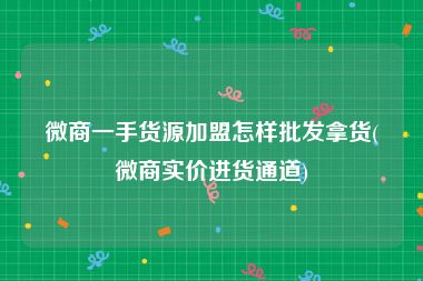 微商一手货源加盟怎样批发拿货(微商实价进货通道)