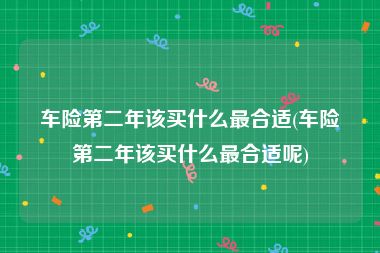 车险第二年该买什么最合适(车险第二年该买什么最合适呢)