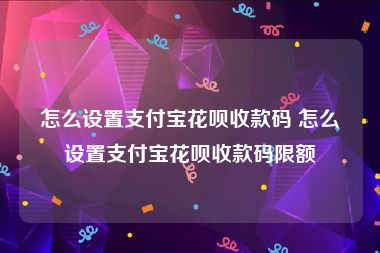 怎么设置支付宝花呗收款码 怎么设置支付宝花呗收款码限额