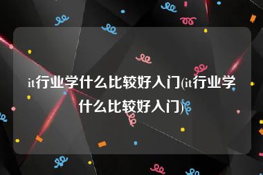 it行业学什么比较好入门(it行业学什么比较好入门)