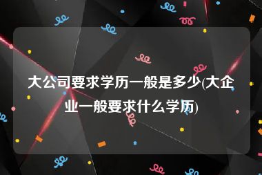 大公司要求学历一般是多少(大企业一般要求什么学历)