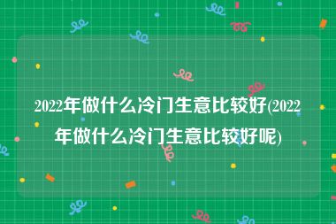 2022年做什么冷门生意比较好(2022年做什么冷门生意比较好呢)