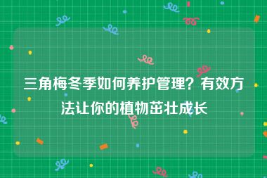 三角梅冬季如何养护管理？有效方法让你的植物茁壮成长