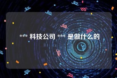  *** 科技公司 *** 是做什么的