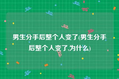 男生分手后整个人变了(男生分手后整个人变了,为什么)