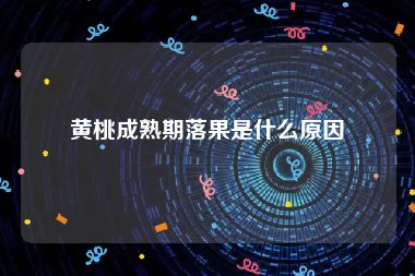 黄桃成熟期落果是什么原因